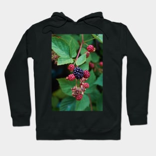 Blackberry Hoodie